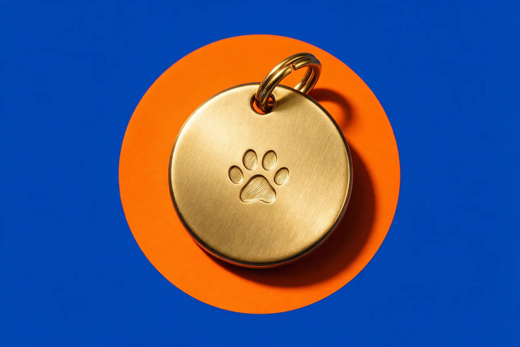 Design rendering of the solid brass PawTada Smart Tag